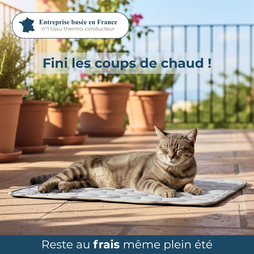 Tapis Rafraichissant pour chien et chat