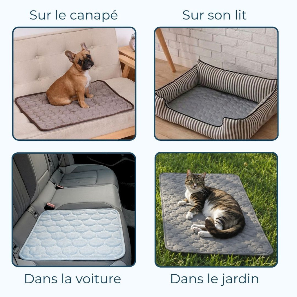 Tapis Rafraichissant pour chien et chat